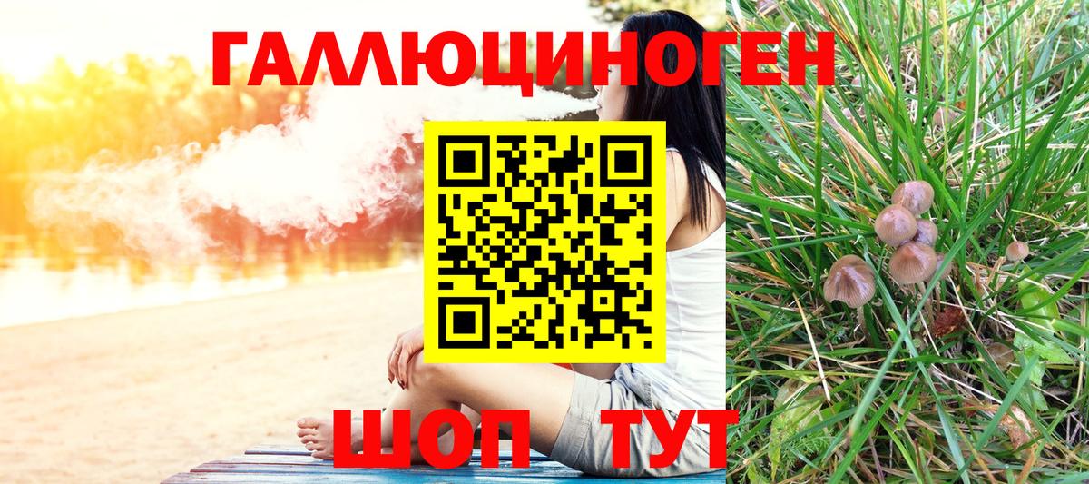 Псилоцибиновые грибы Psilocybe Жуковский
