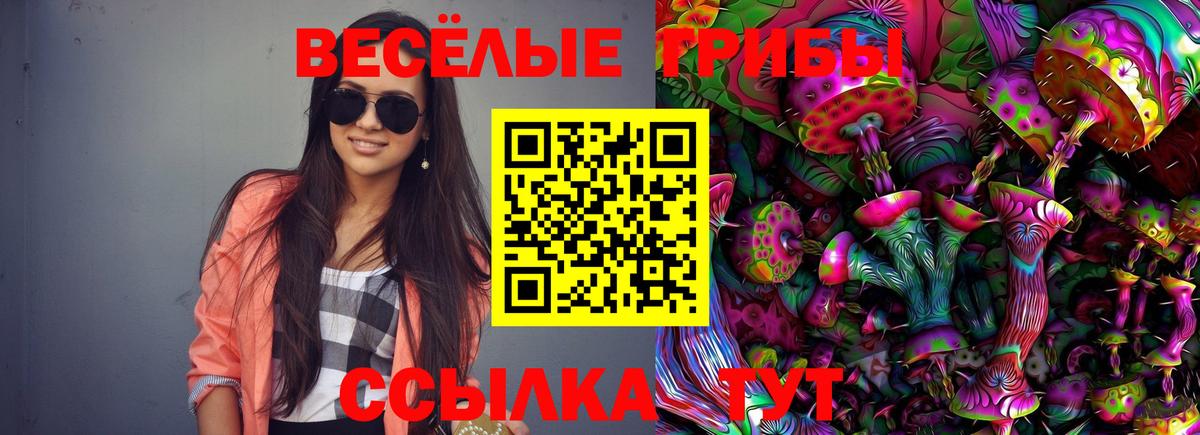 Жуковский  Псилоцибиновые грибы MAGIC MUSHROOMS  Вход с VPN  Галлюциногенные грибы Cubensis 