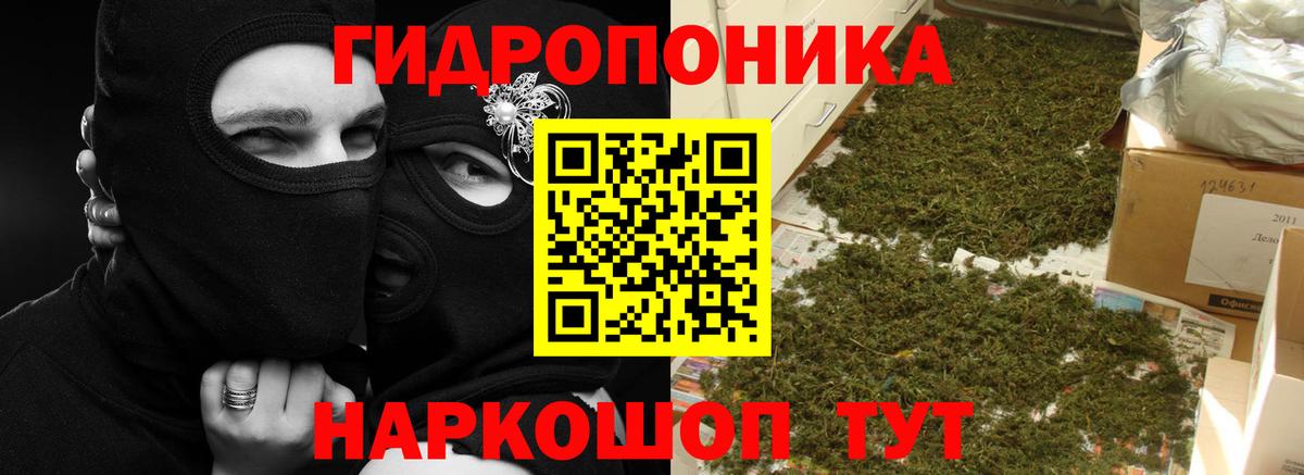 Жуковский  МАРИХУАНА Amnesia  Вход с VPN  Канабис гибрид  Шишки марихуана марихуана  Бошки марихуана план 